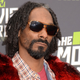 Illustration for article titled Snoop Lion Says He Used To Be A Pimp For Pro Athletes
